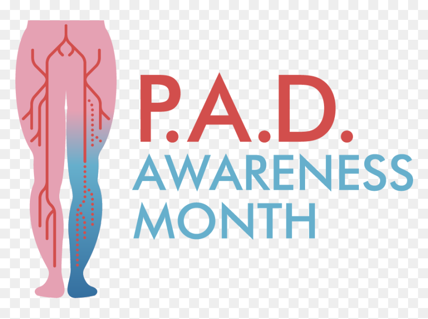 Colortrans - Peripheral Arterial Disease Awareness Month, HD Png Download - diabetes ribbon png