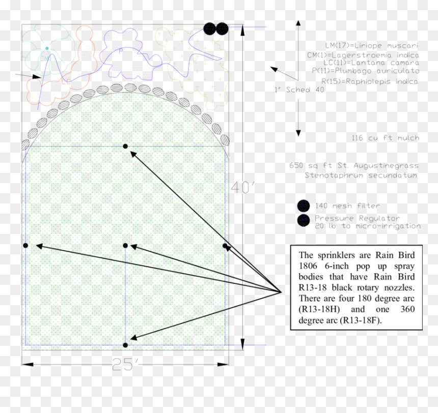 Diagram, HD Png Download - liriope png