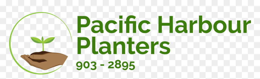 Pacific Harbour Planters Logo - Graphics, HD Png Download - liriope png
