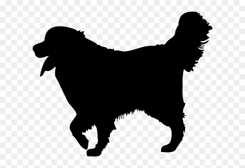 Companion Dog, HD Png Download - sleeping dog png