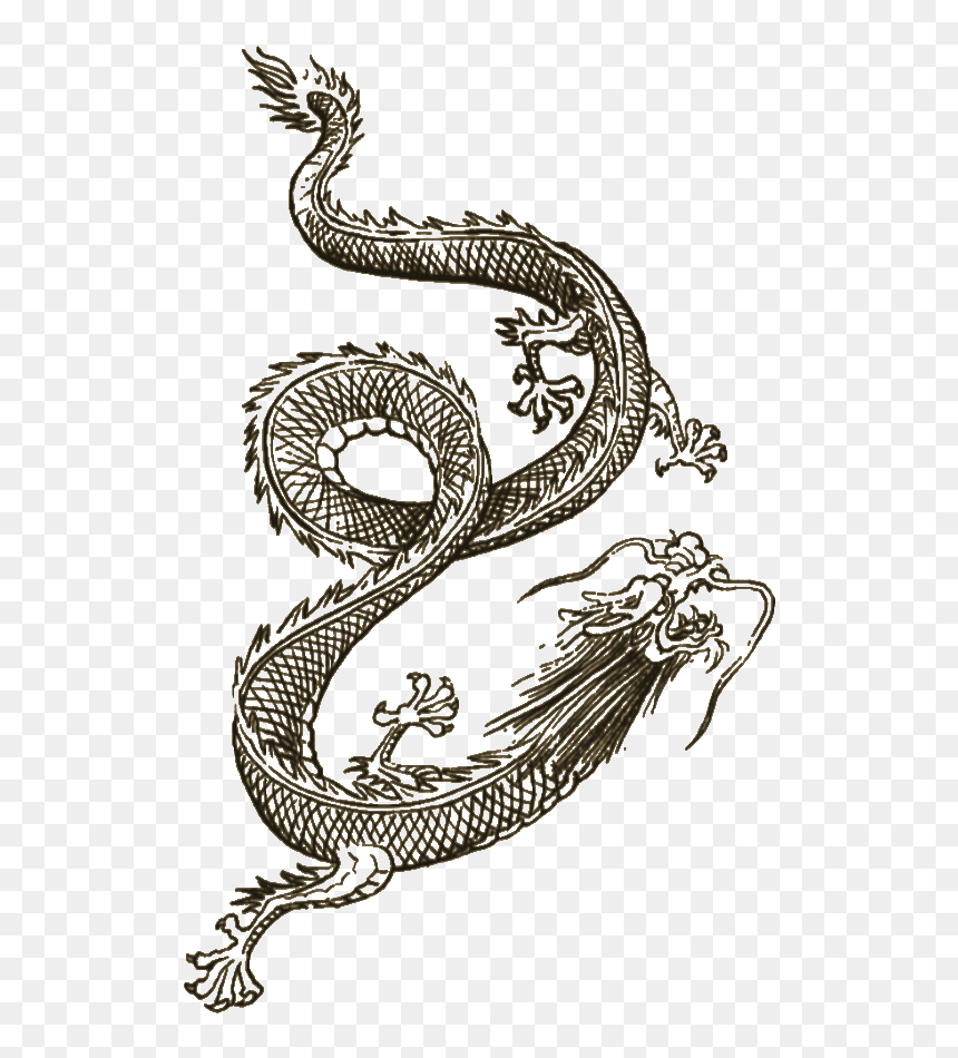 Lion Dog Tattoo - Wei Shen Dragon Tattoo, HD Png Download - sleeping dog png