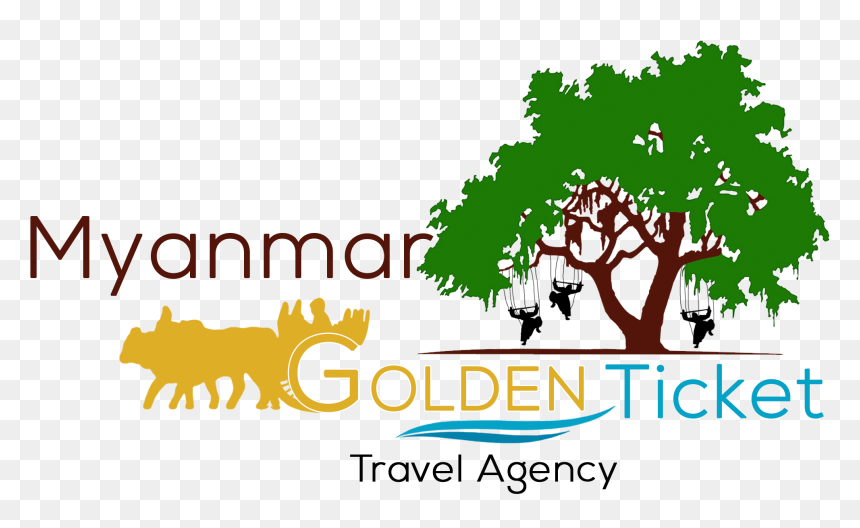Best Local Travel Agency In Yangon - Silhouette Of Live Oak Tree, HD Png Download - live oak tree png