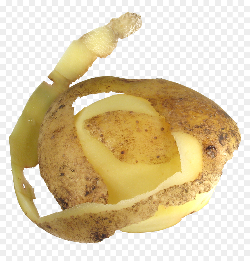 Potato - Potato Peel No Background, HD Png Download - potato plant png