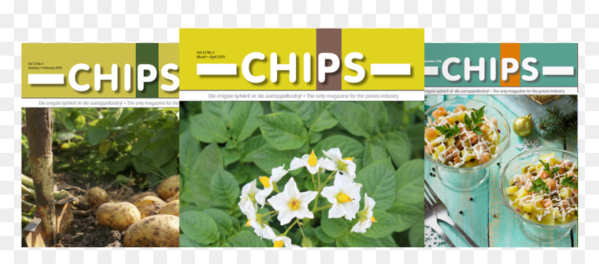 Solanum, HD Png Download - potato plant png