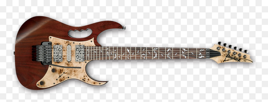 Not That Steve On Twitter - Steve Vai Signature Model, HD Png Download - ibanez logo png