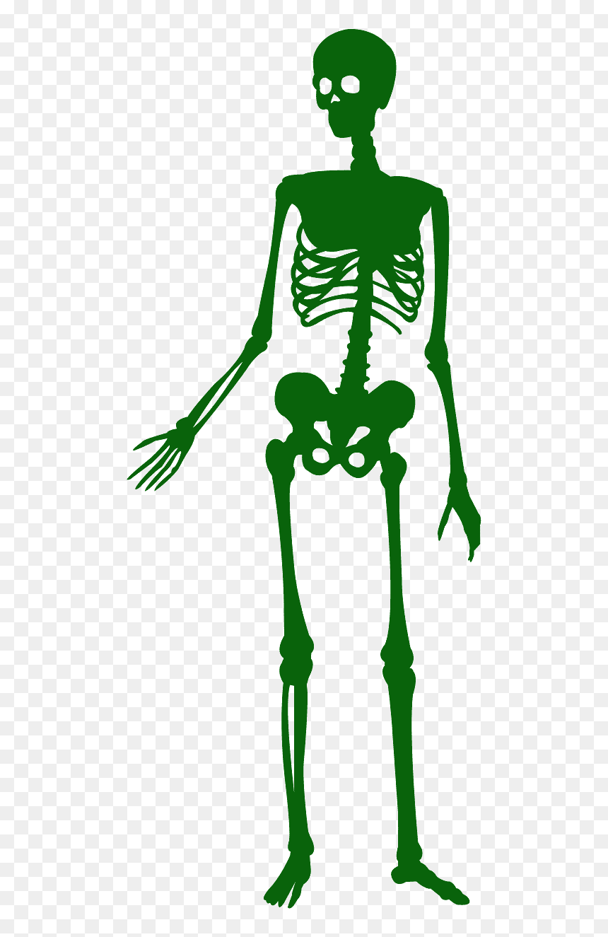 Silueta Esqueleto, HD Png Download - skeleton silhouette png