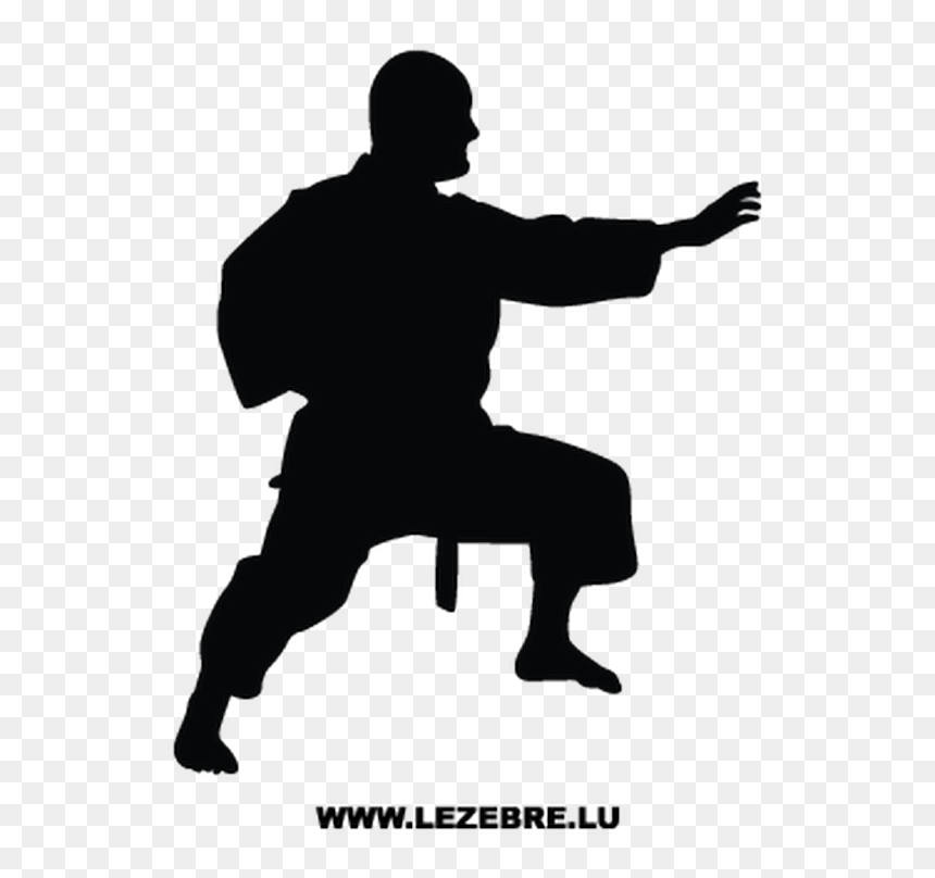 Silhouette Of Gif Of Baby, HD Png Download - martial arts silhouette png