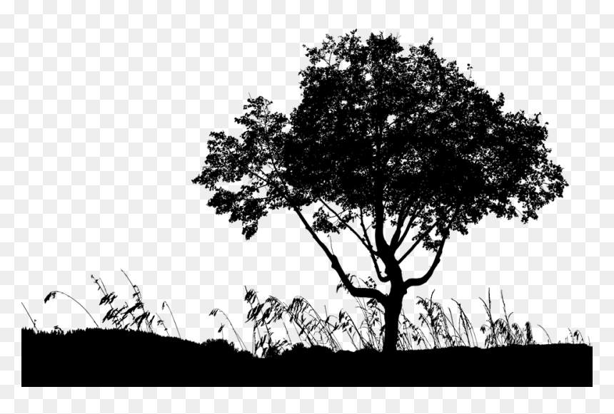 Landscape, HD Png Download - landscape silhouette png