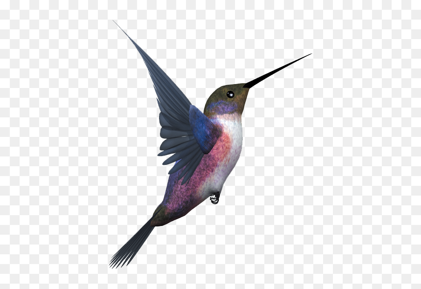 Flying Bird Png, Transparent Png - feather .png