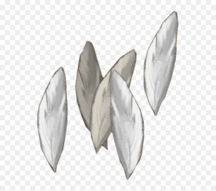 The Runescape Wiki - Magnolia, HD Png Download - feather .png