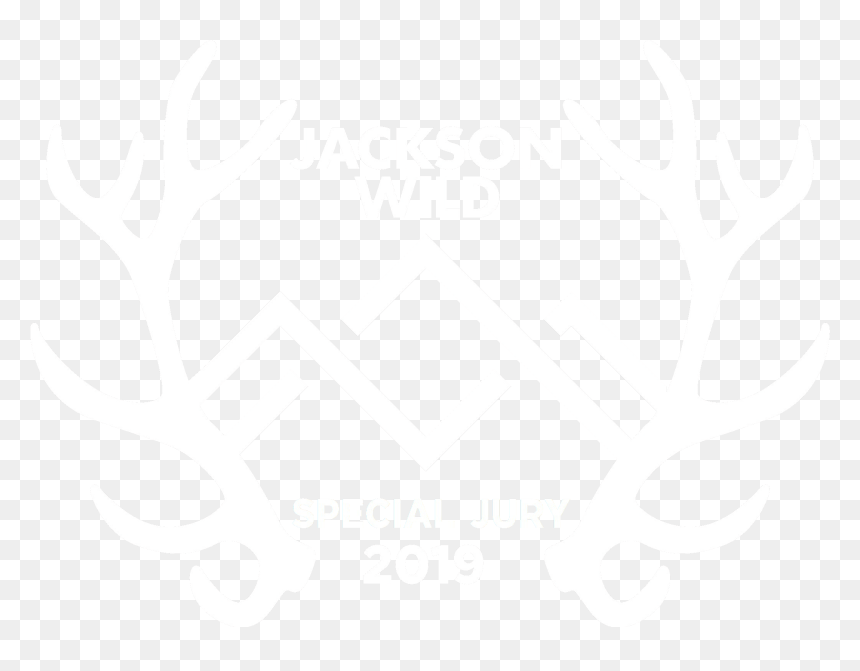 Jackson Wild, HD Png Download - jackson storm png