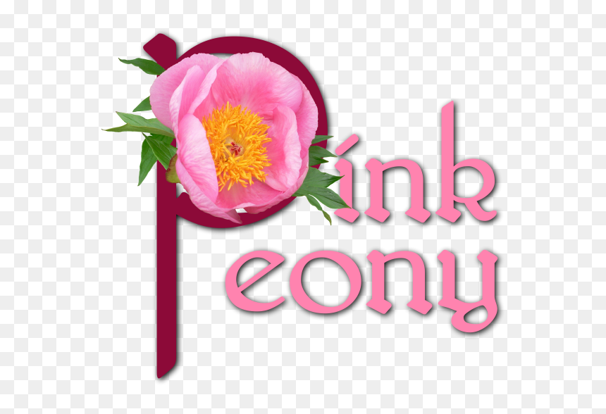 Common Peony, HD Png Download - pink peony png