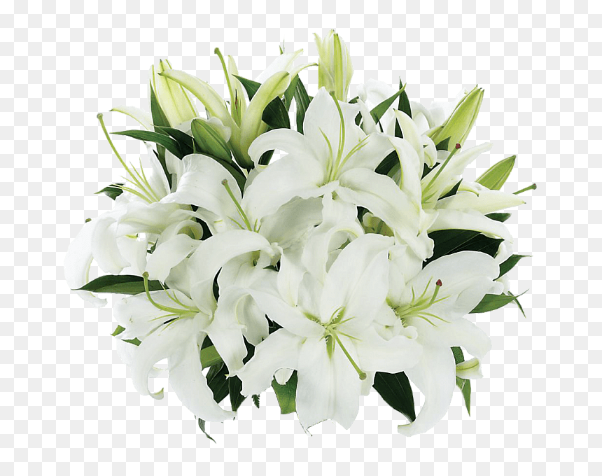 Tight Bouquet Of Lilies - Bouquet Of Lily Flowers, HD Png Download - stargazer lily png