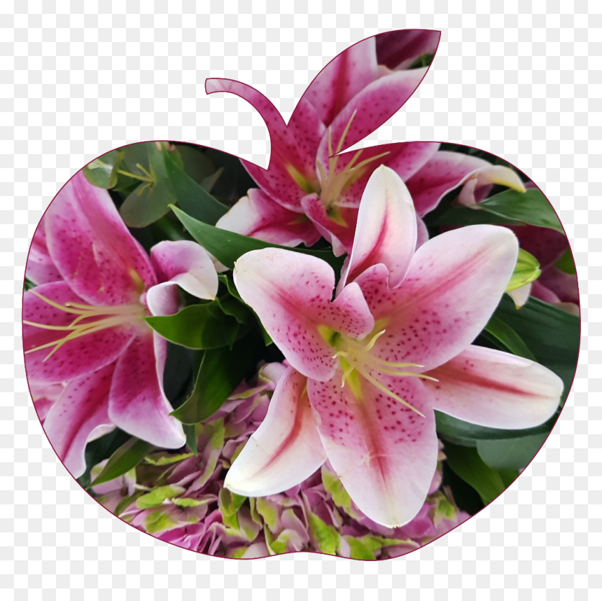 #applesticker #apple #flower #flowers #pink #lilly - Stargazer Lily, HD Png Download - stargazer lily png
