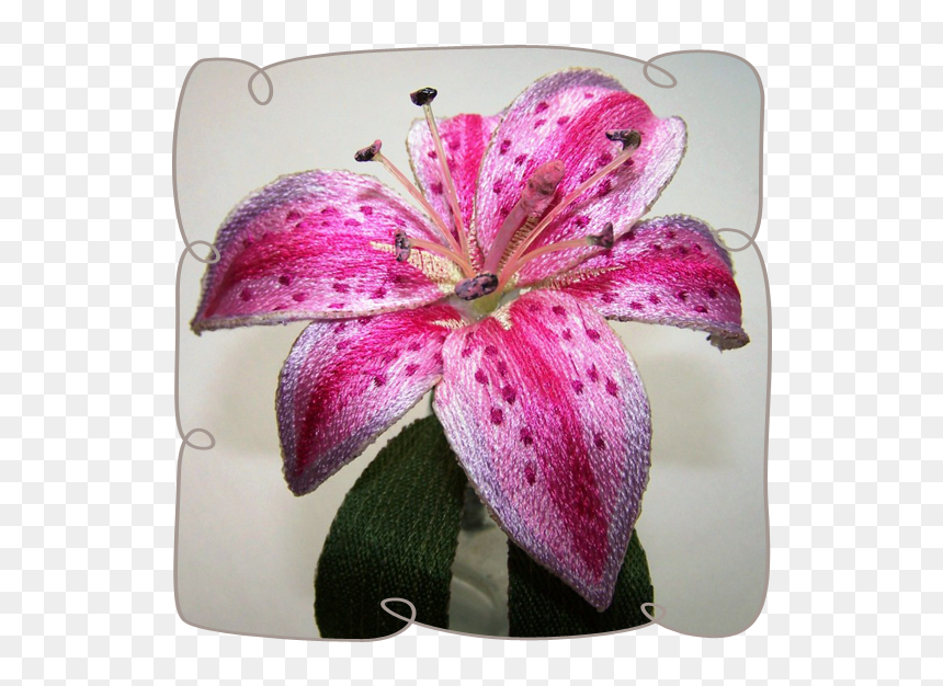 3d Embroidery Flowers, HD Png Download - stargazer lily png