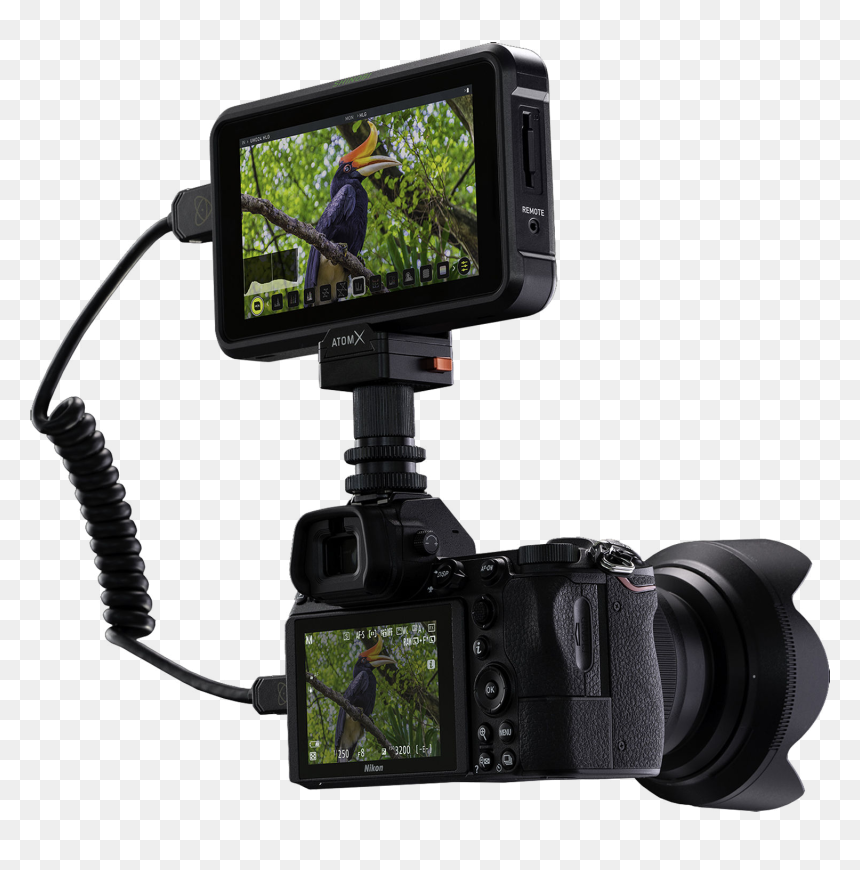 The Atomos Shinobi 5 Inch High Brightness Hdr Monitor - Atomos Shinobi 5.2 4k Hdmi Monitor, HD Png Download - shinobi png