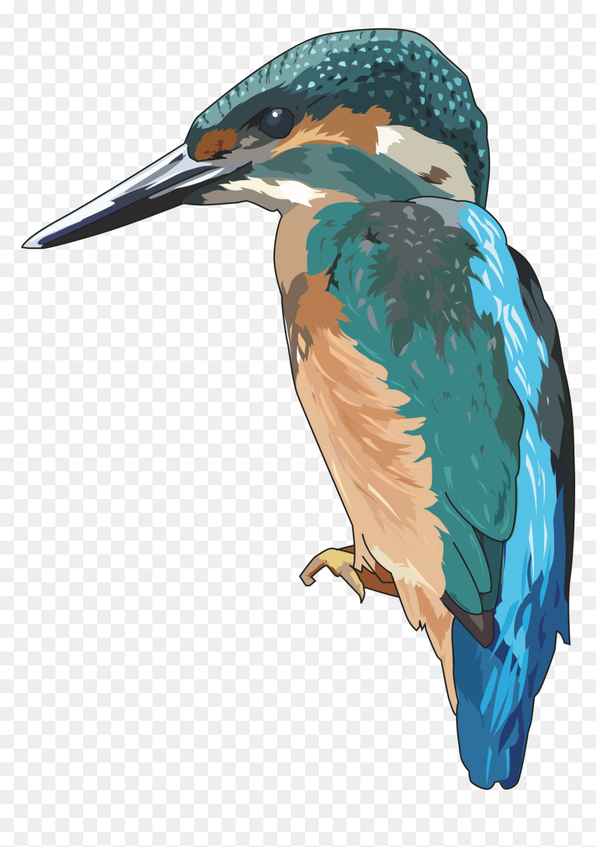 Kingfisher Clipart, HD Png Download - kingfisher logo png