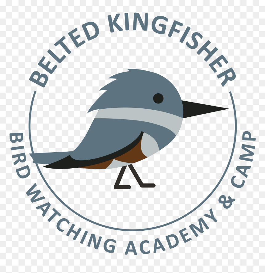 Νοτεσ Κιθαρασ, HD Png Download - kingfisher logo png