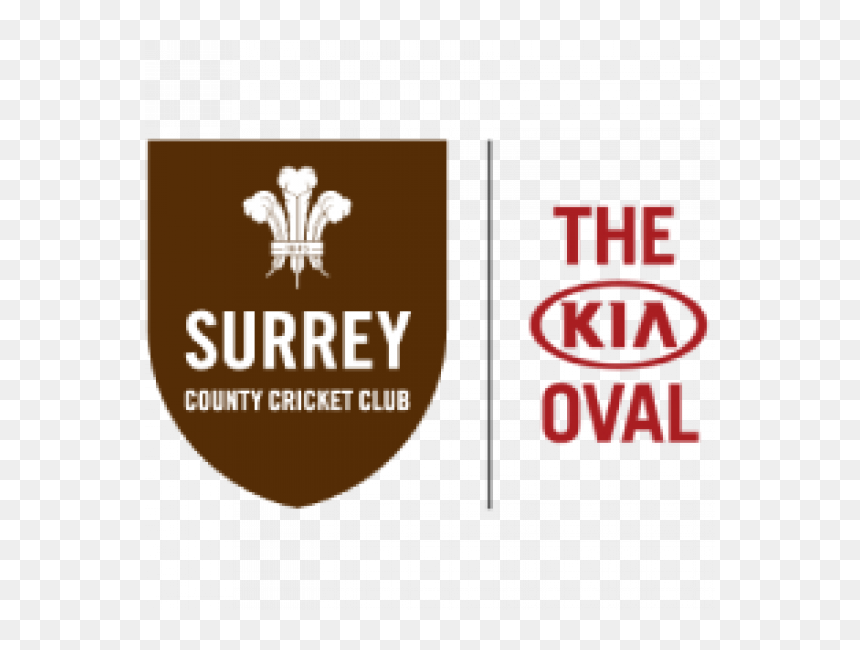 Kia Oval Logo Png, Transparent Png - kia logo png
