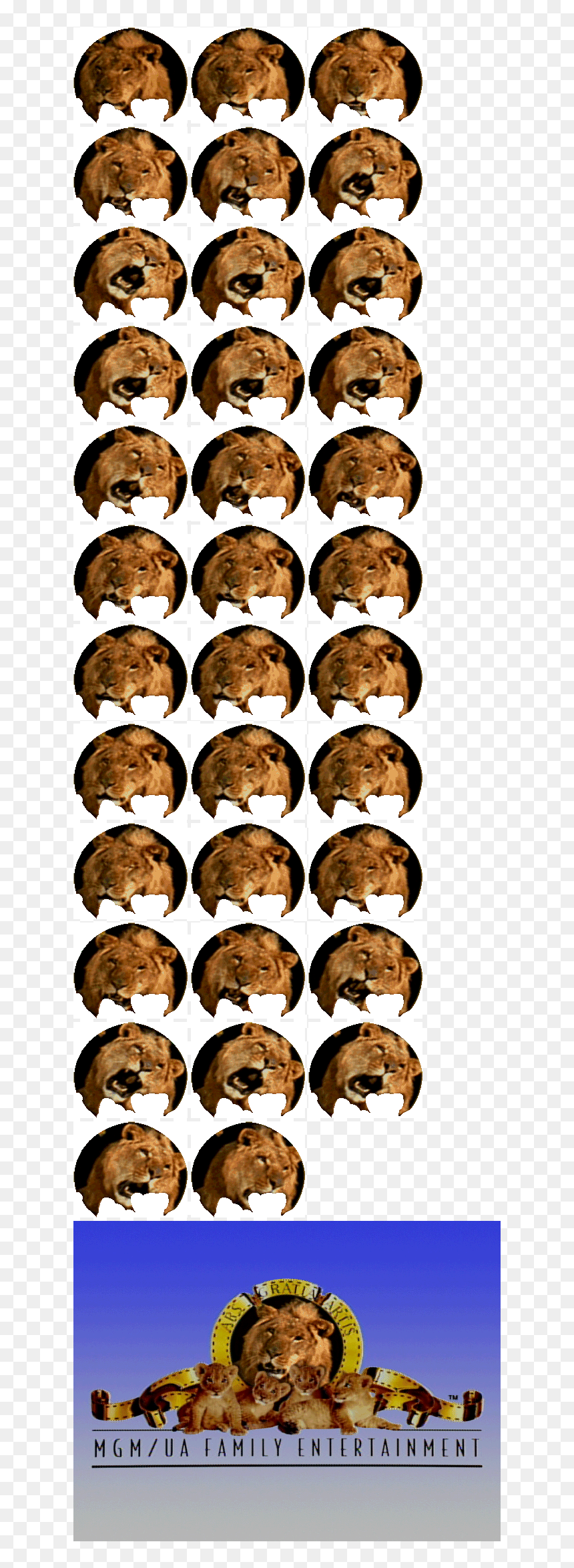 Otter, HD Png Download - mgm logo png