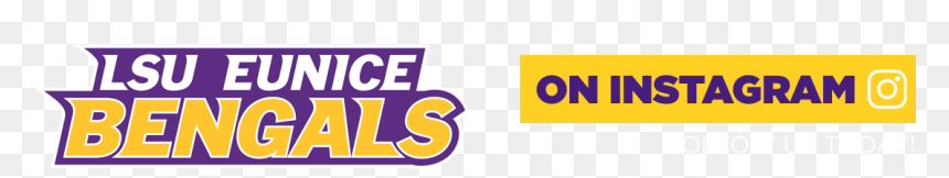 Lsu Eunice Logo, HD Png Download - lsu logo png