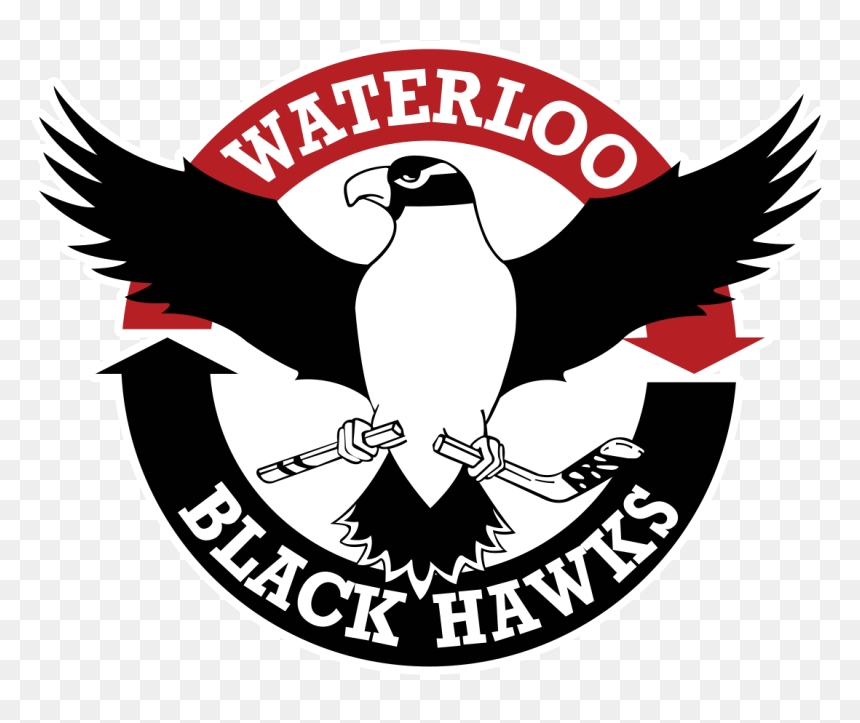Waterloo Black Hawks, HD Png Download - blackhawks logo png