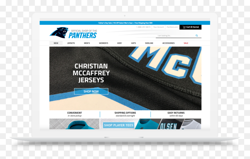 Carolina Panthers, HD Png Download - carolina panthers logo png