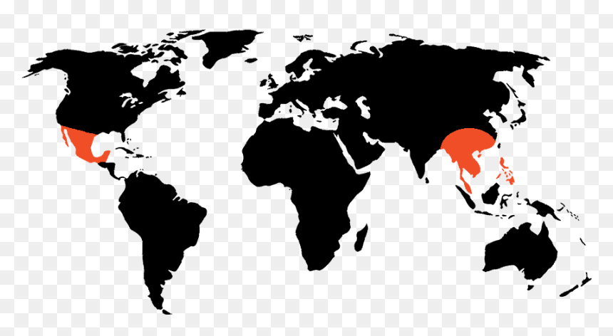 Project Ak-47 Active Regions Around The World - Red World Map Png, Transparent Png - ak 47 silhouette png