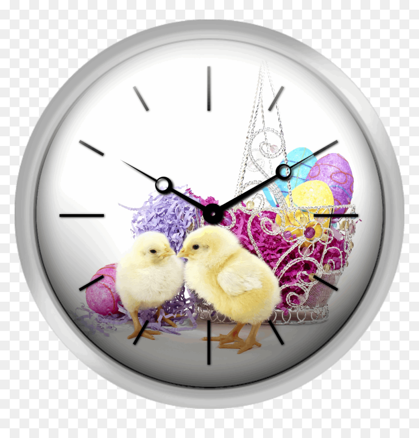 Easter Chicks - Wall Clock, HD Png Download - easter chick png