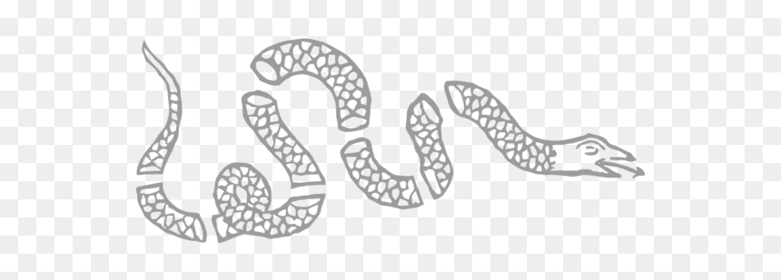 Join Or Die Snake Decal - Fundamental Orders Of Connecticut Symbol, HD Png Download - white snake png