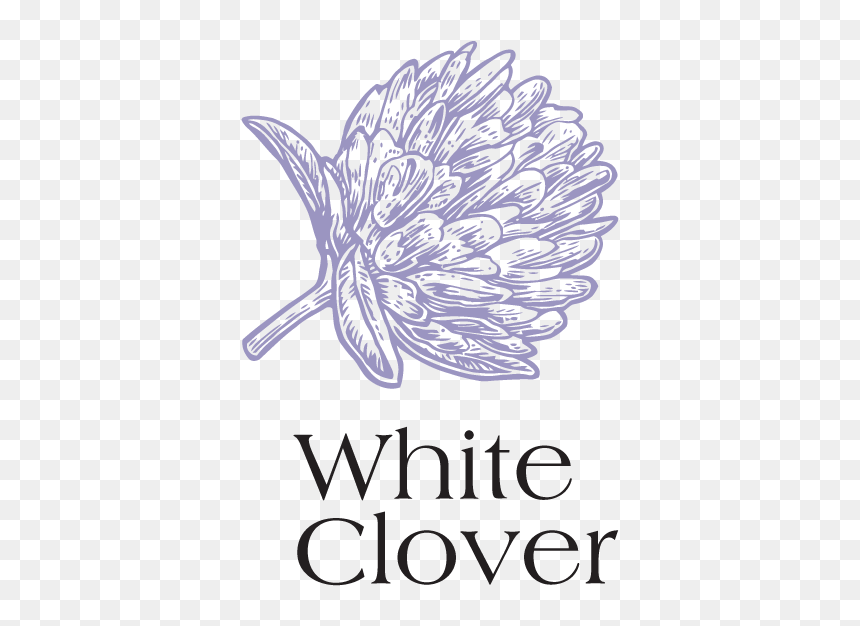 Certy Pro, HD Png Download - white clover png