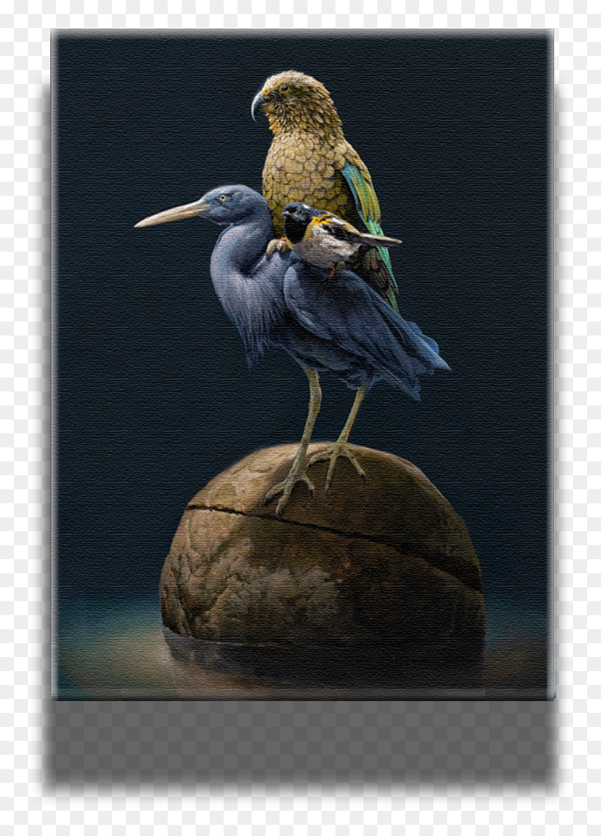 Stork, HD Png Download - broken wing png