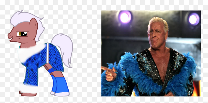 Ric Flair Royal Rumble Blue - Wwe Ric Flair, HD Png Download - rick flair png