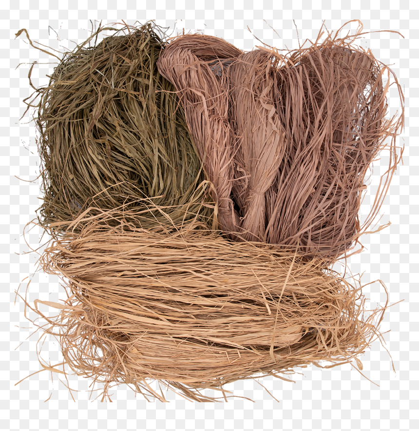 Grass, HD Png Download - feather reed grass png