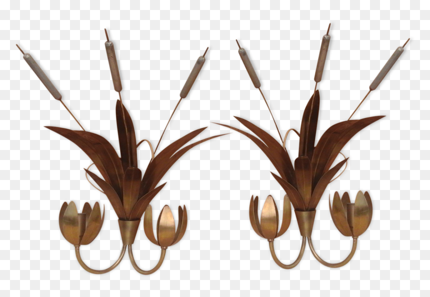 Pair Of Golden "pink - Grass, HD Png Download - feather reed grass png