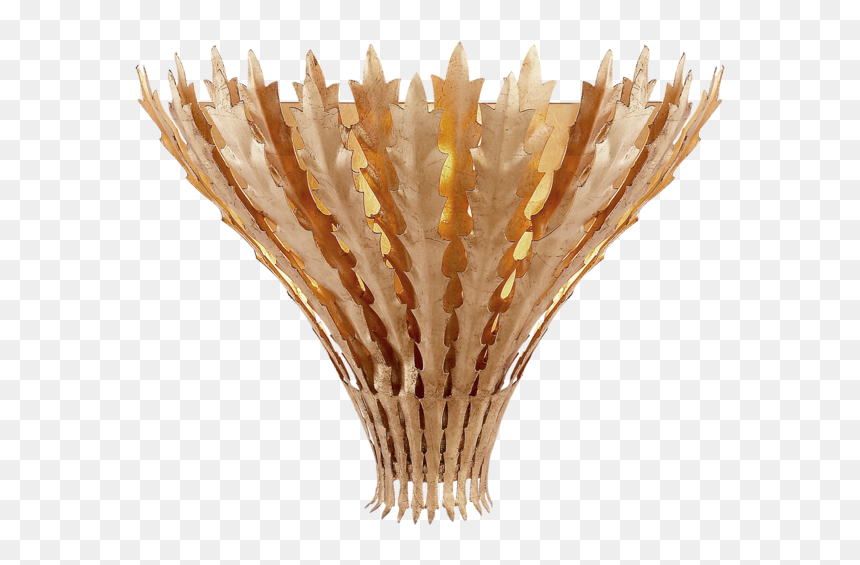 Arn2001g, HD Png Download - feather reed grass png