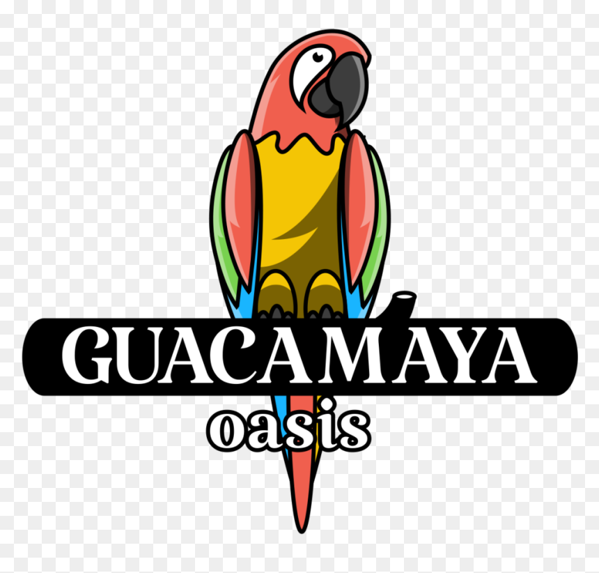 Guacamaya Png, Transparent Png - guacamaya png