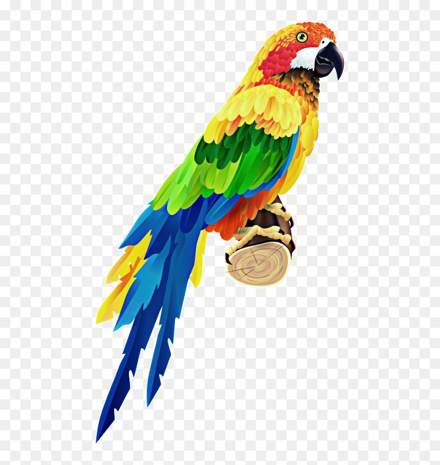 #guacamaya - Colorful Parrot, HD Png Download - guacamaya png