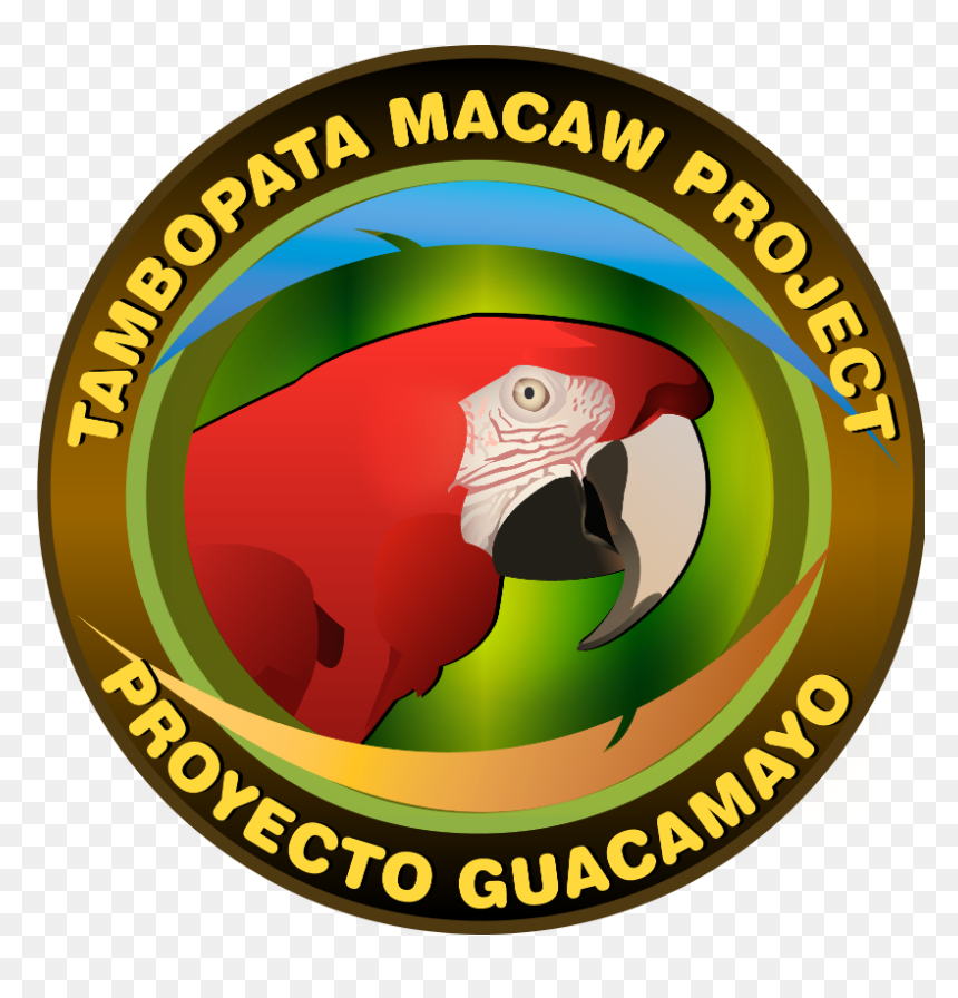 Tambopata Macaw Project, HD Png Download - guacamaya png