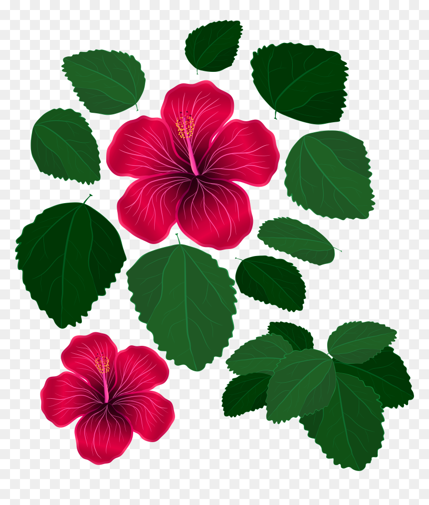 Svg Freeuse Library And Leaves For Decorations Transparent - Leaves And Flowers Clipart, HD Png Download - red leaves png