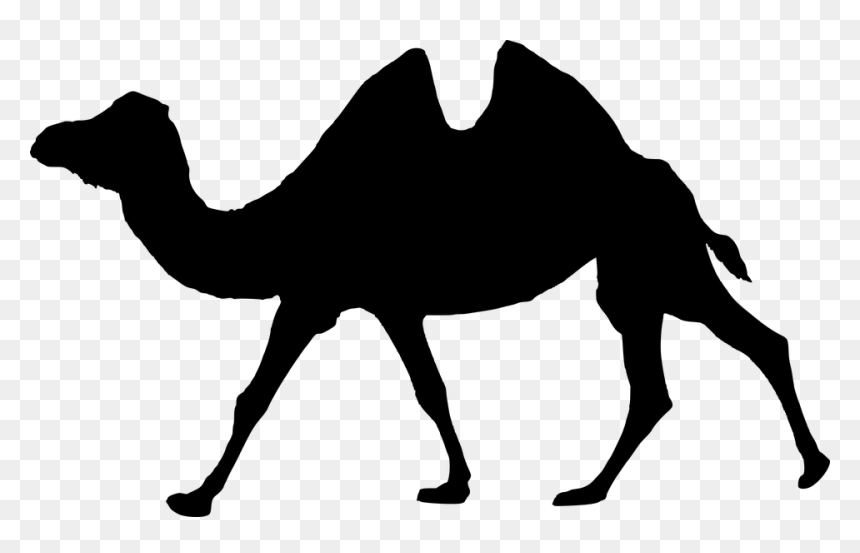 Silueta De Animales Caminando, HD Png Download - camel silhouette png