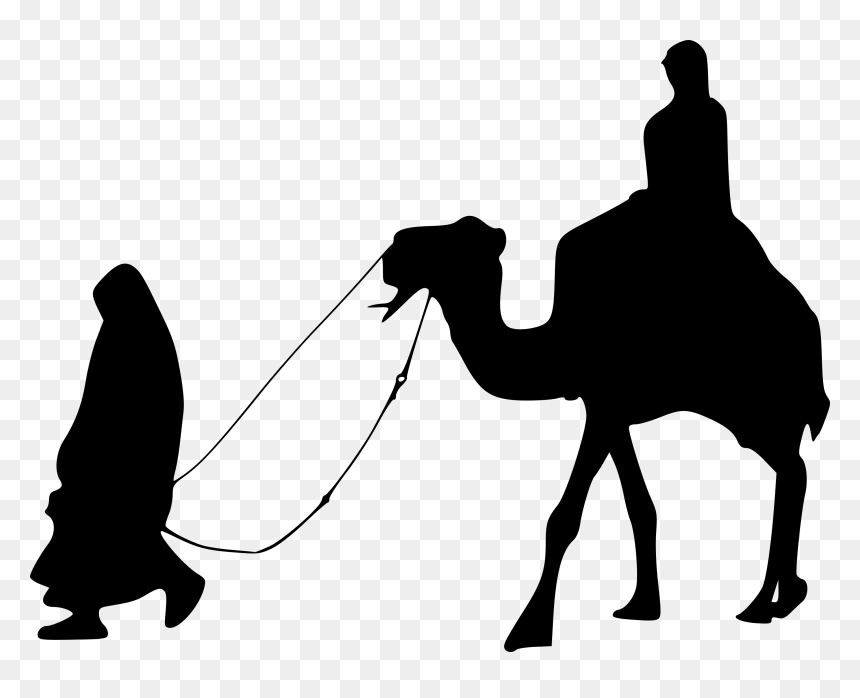 Arabian Camel, HD Png Download - camel silhouette png