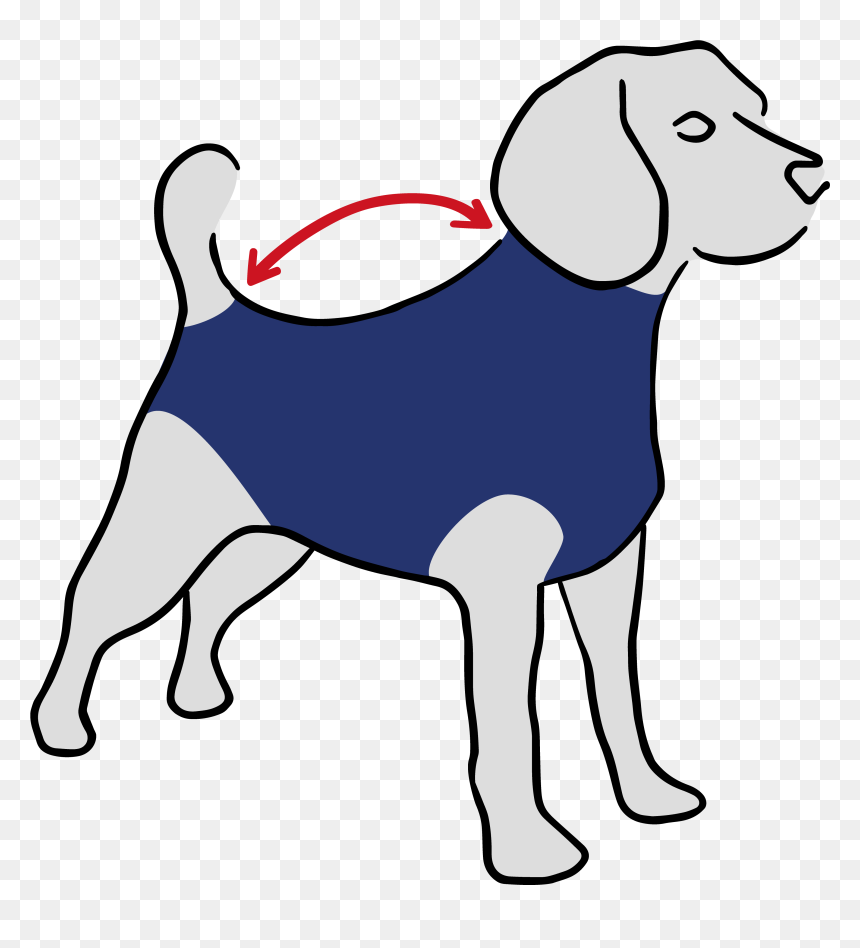 Harrier, HD Png Download - mean dog png