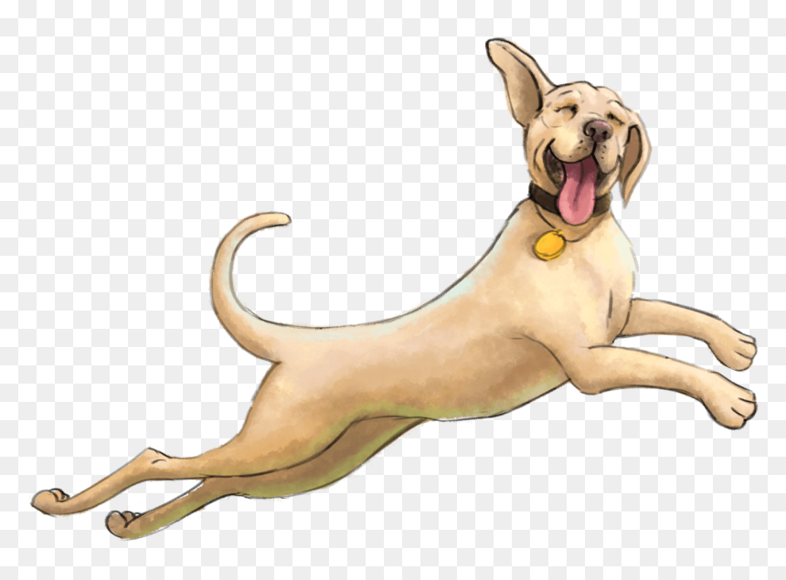 Dog Yawns, HD Png Download - mean dog png