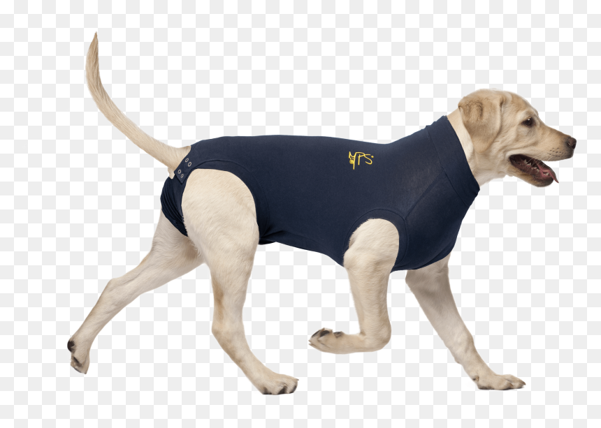 Medical Pet Shirt, HD Png Download - mean dog png