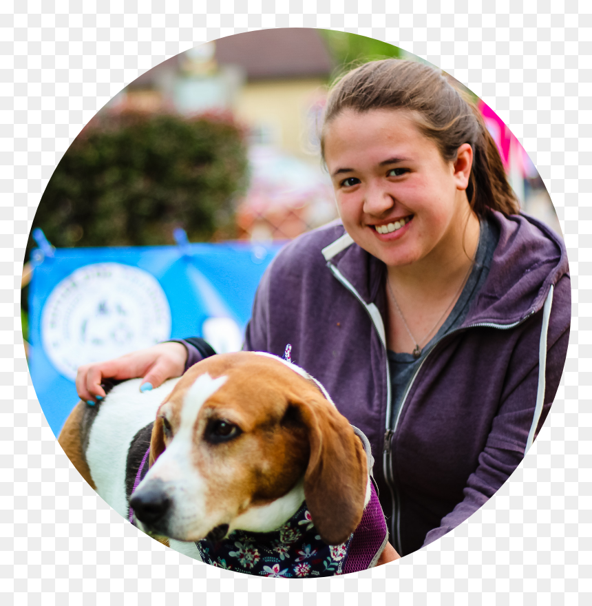 Beagle, HD Png Download - mean dog png