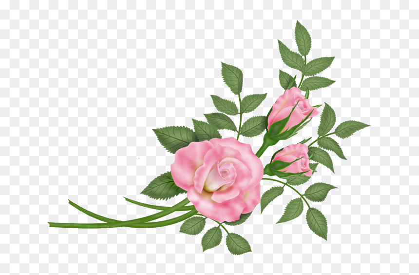 Roses Vector Free Download, HD Png Download - pink flower vector png