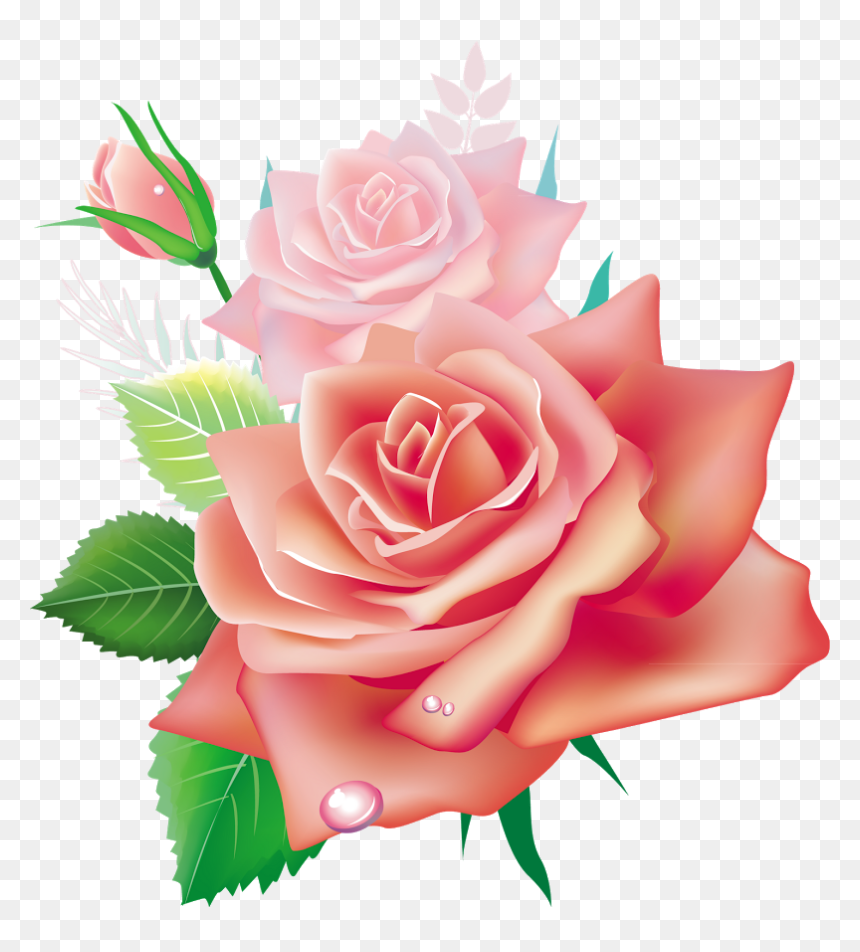 Beautiful Roses Flowers Png, Transparent Png - pink flower vector png