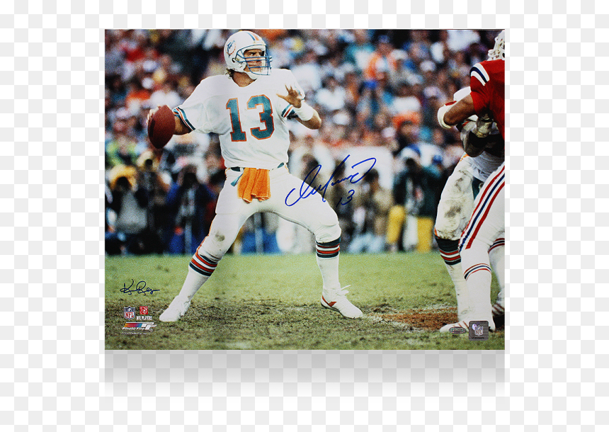 Football Player, HD Png Download - miami dolphins helmet png