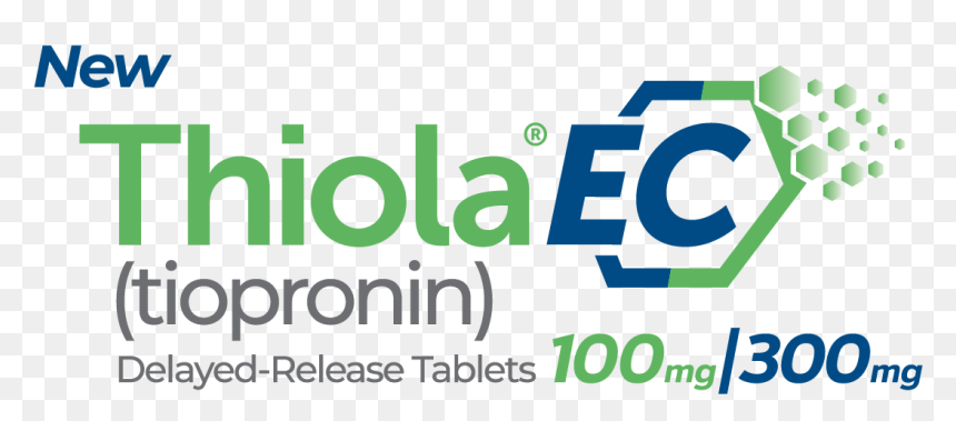 Home - Steria, HD Png Download - stone tablet png